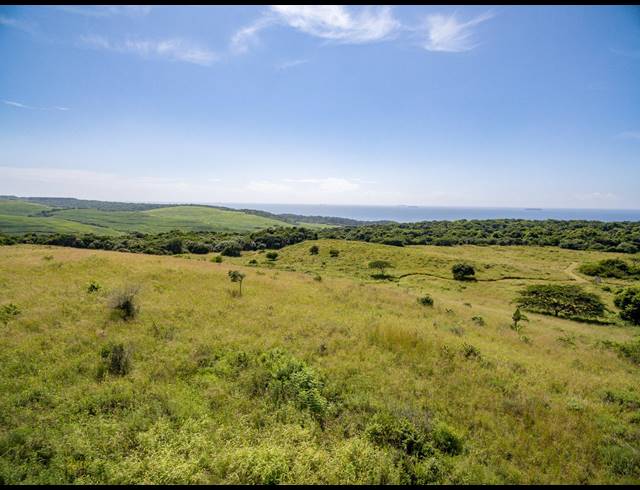 1,346M² VACANT LAND FOR SALE IN HAWAAN FOREST ESTATE